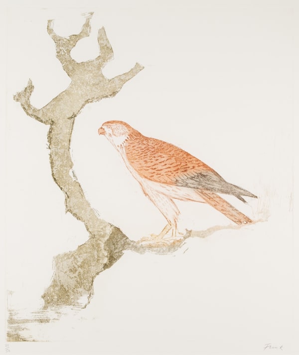 Elisabeth Frink - Kestrel, from Birds of Prey, 1974