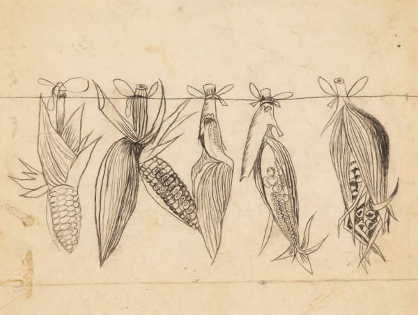 Study for Hanging Maize