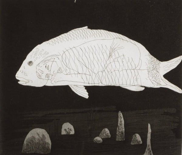 The Boy Hidden in a Fish