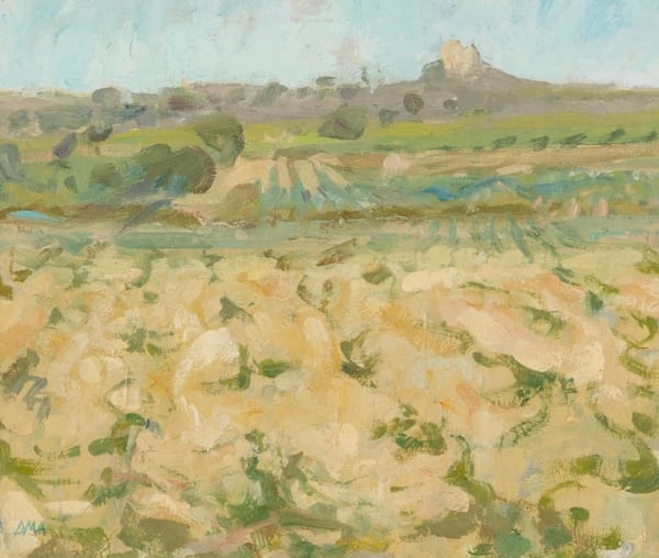 Diana Armfield, Field of Young Vines, South of France