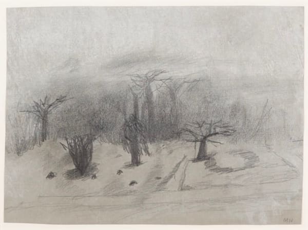 Tivetshall Long Row in the Fog