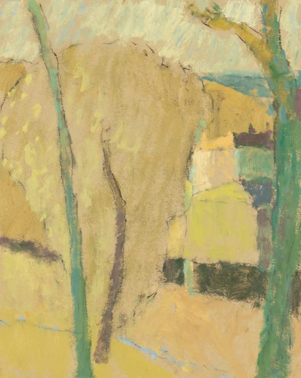 Green trunks at Ceret