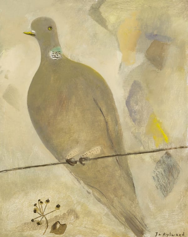 Wistful Pigeon