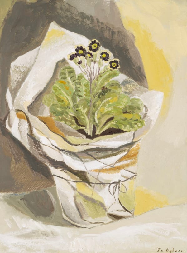 Jo Aylward, Late Edged Primula Wrapped in Tissue, 2024