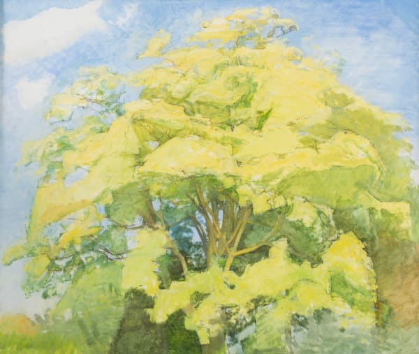 Patrick George - Large Sycamore, 2000, circa