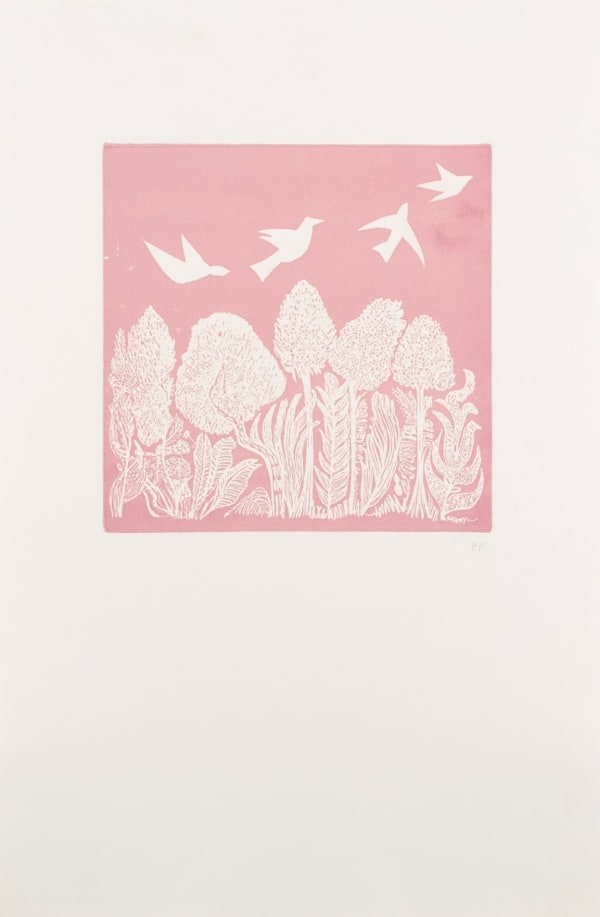 White Birds on Pink