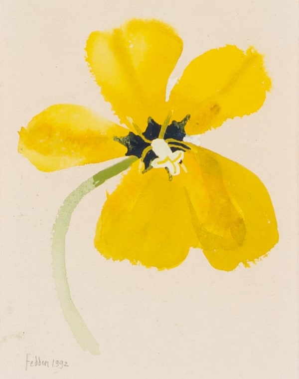 Spring Flower