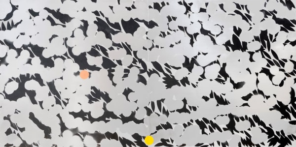 SILVER MIMOSA WITH COPPER OCT 26, 2022