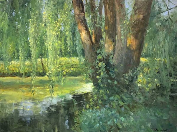 WILLOW POND-EVENING SHADOWS