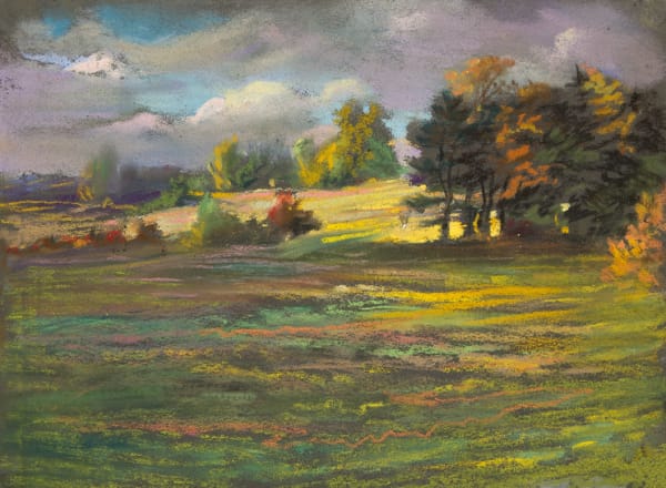 FIELD AND TREES