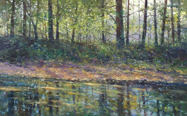 SUNLIGHT AND REFLECTIONS