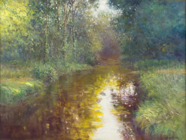 MORNING ON WOLF CREEK