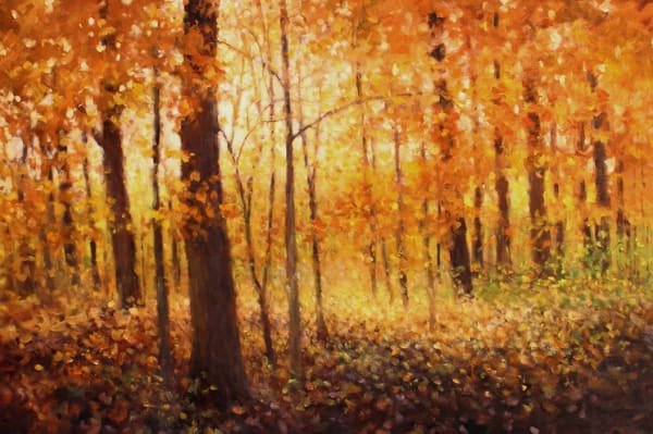 SUNLIGHT THROUGH MAPLE LEAVES