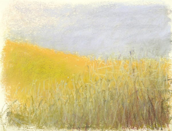 SUMMER PASTURE
