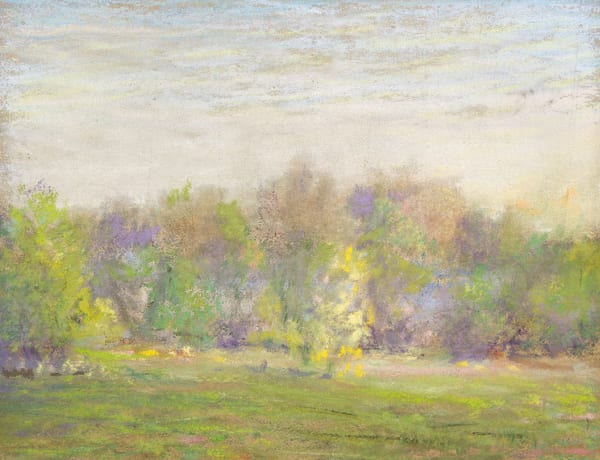 SPRING LANDSCAPE