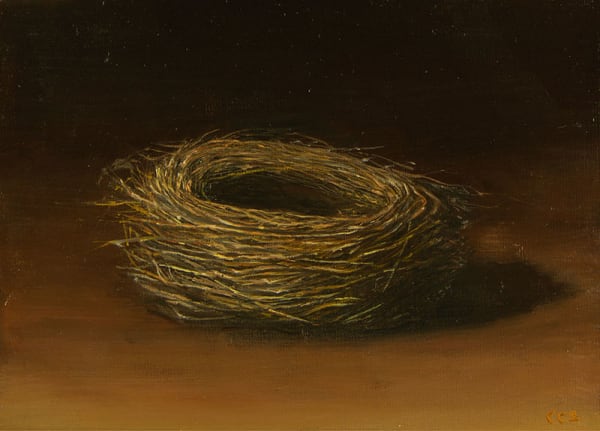 NEST III