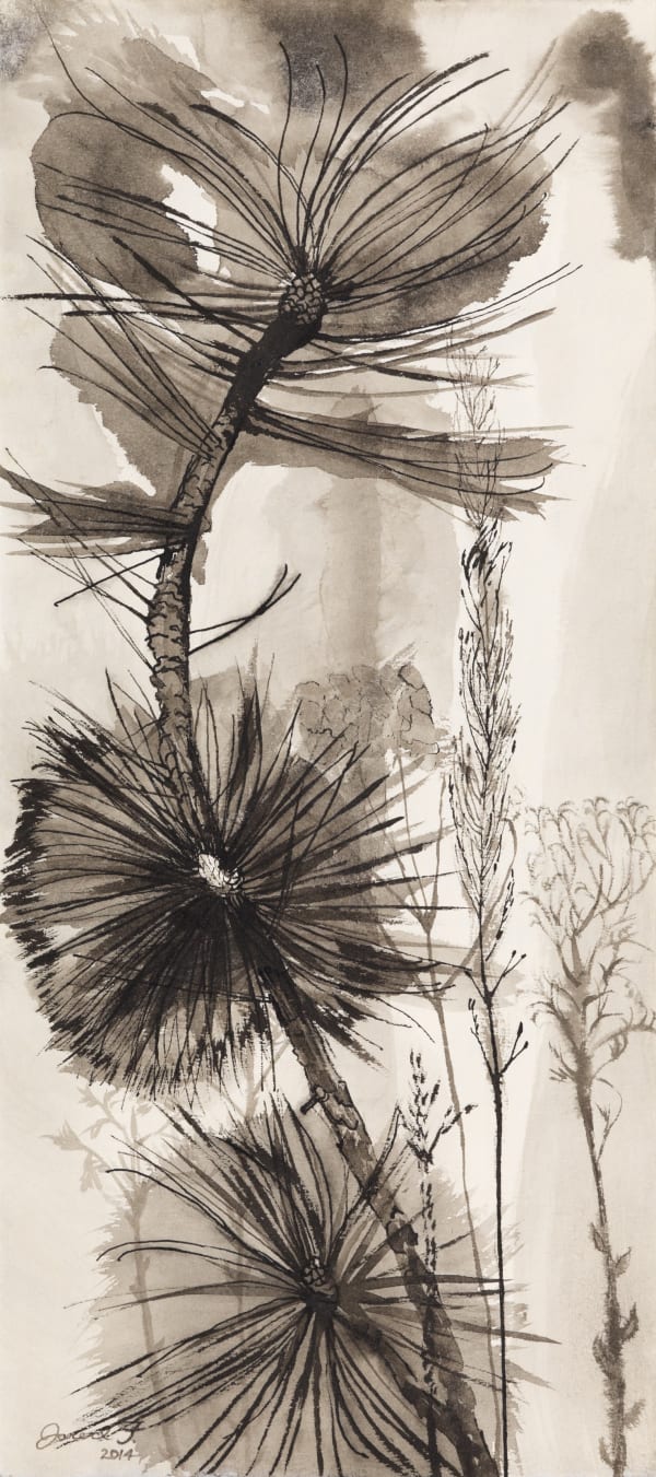 Jared FitzGerald, Drawing Collection; Southwest Sketches, 2014