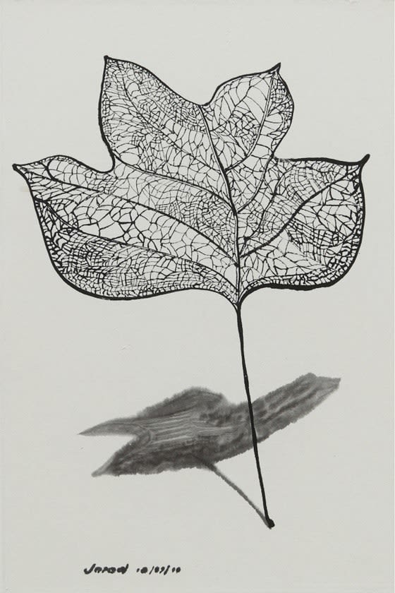Jared FitzGerald, Leaf I, 2012