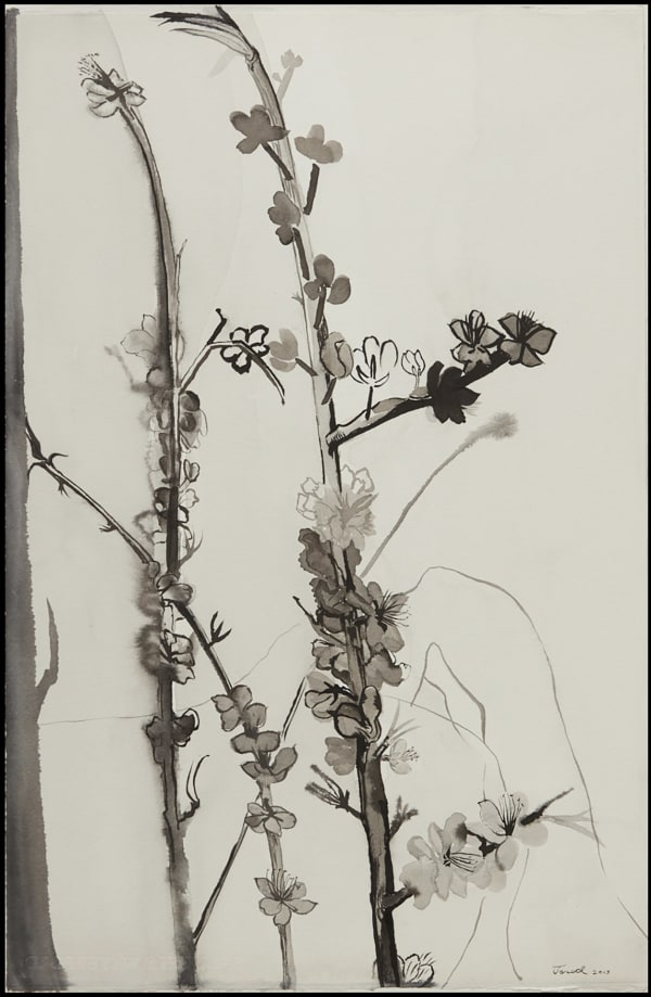 Jared FitzGerald, Spring Blossoms 8, 2013