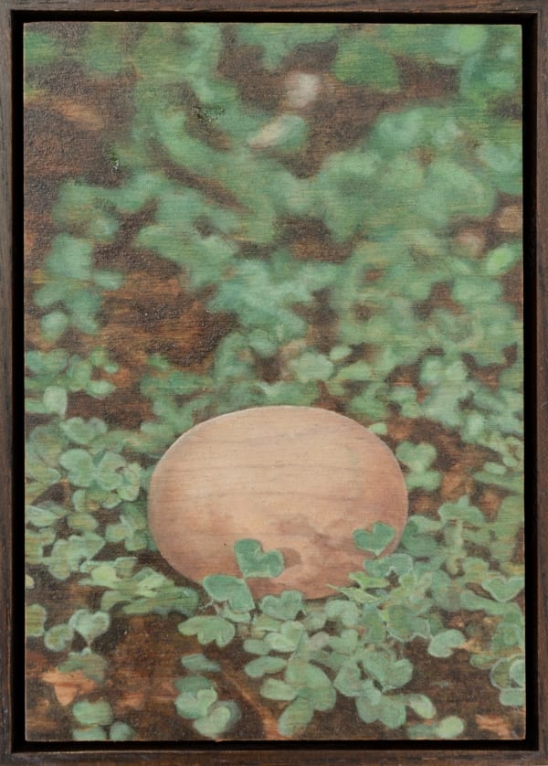 Lily McRae, Hexed, 2020