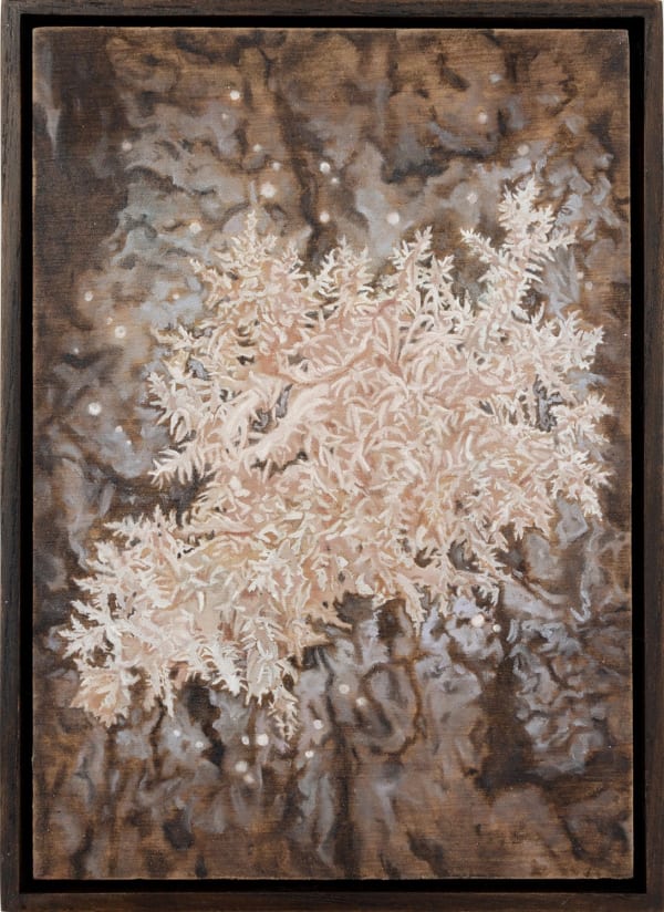 Lily McRae, Coral Tooth Fungus, 2020