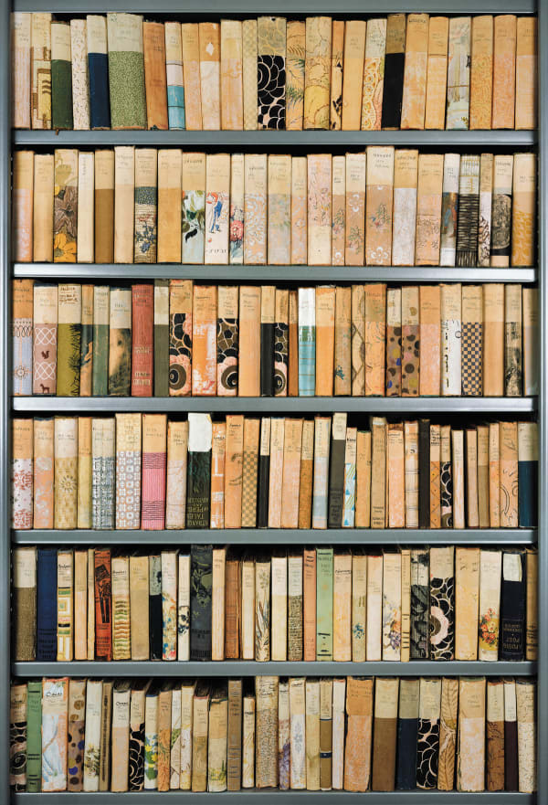 Ann Shelton Jhana Millers Gallery