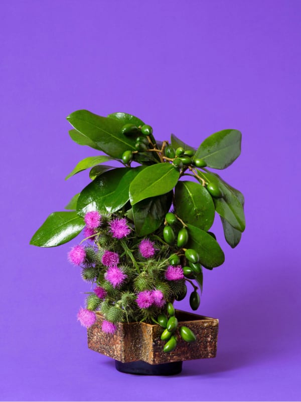 Ann Shelton Jhana Millers Gallery