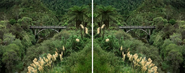 Ann Shelton Jhana Millers Gallery