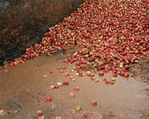 Jhana Millers Art Gallery Wellington Harry Culy