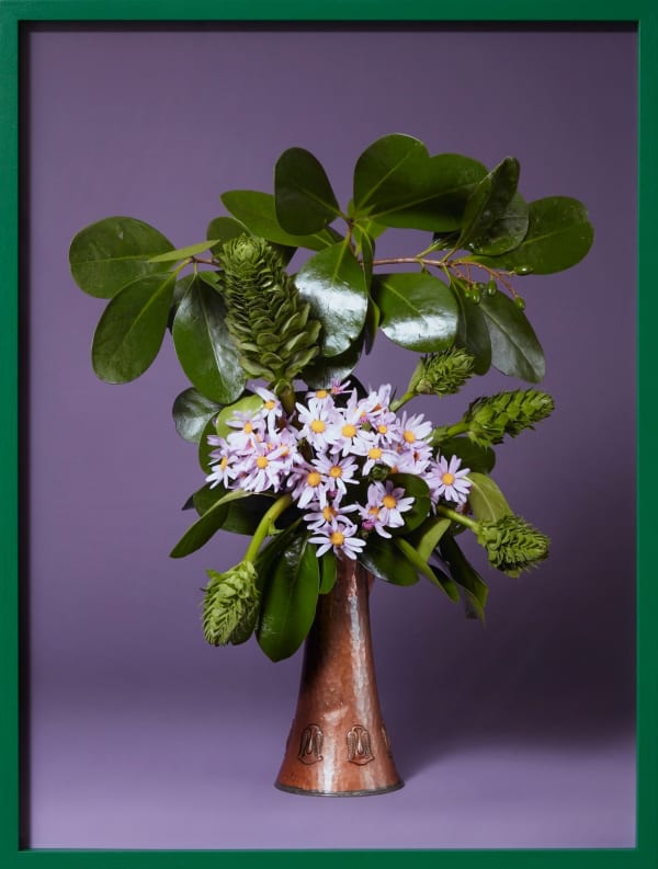 Ann Shelton, The Debutante, Pink Ragwort (Senecio glastifolius sp.), 2017