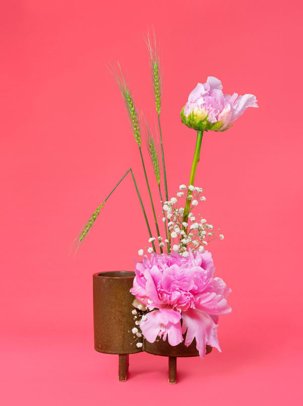 Ann Shelton Jhana Millers Gallery