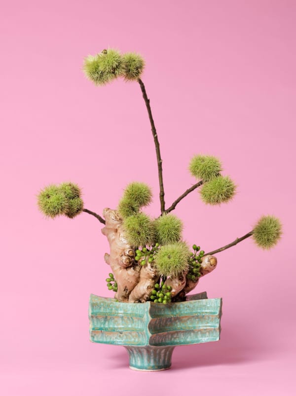 Ann Shelton Jhana Millers Gallery