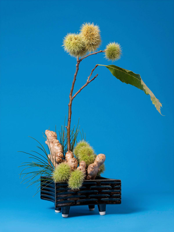 Ann Shelton Jhana Millers Gallery