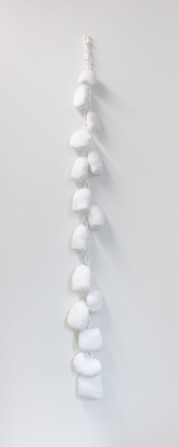 Erica van Zon, Squishmallows, 2025