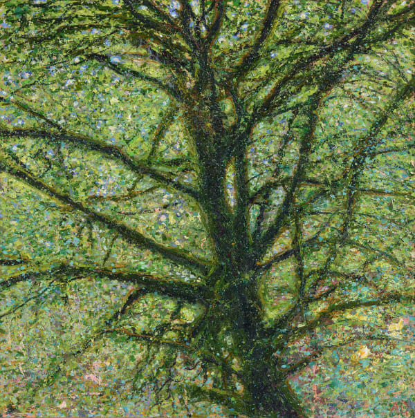 Andrew Gifford, 37. Silhouetted Oak near Tobermory, Mull, 2024