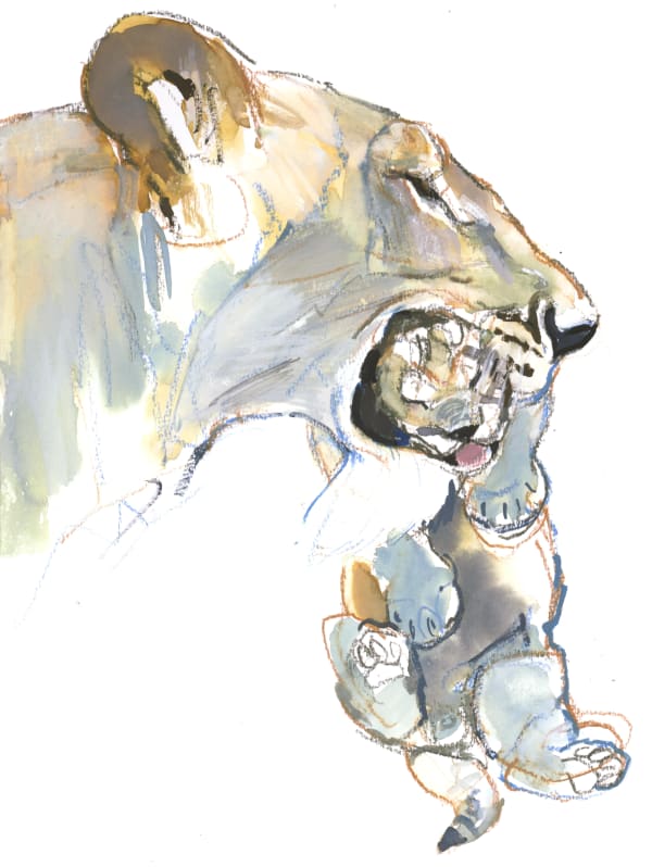 Mark Adlington, Carry Cub, 2019