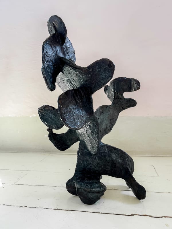 Martin Finnin, Cactus Rodeo, 2022