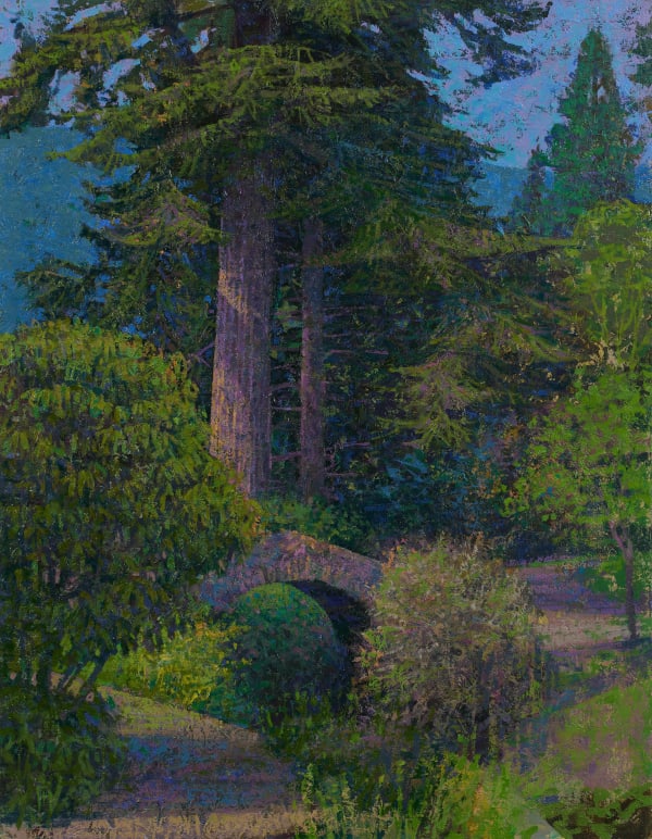 Francis Hamel, Sequoia at Dawyck, 2023