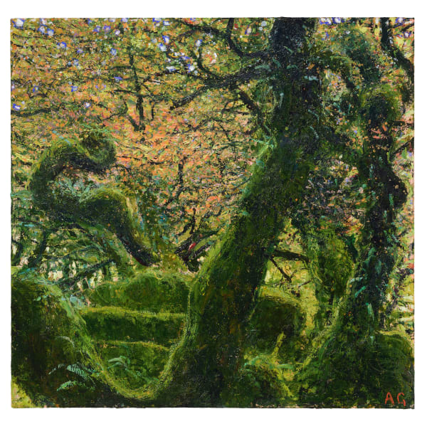 Andrew Gifford, 4. Autumn Oak Dartmoor, 2024/25