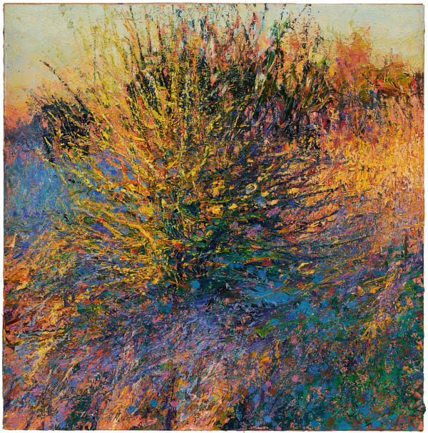 Andrew Gifford, Lone Hawthorn Last Winter Light, Pevensey, 2022