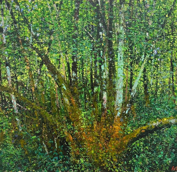 Andrew Gifford, 75. Moss & lichen on Birch Blaenau Ffestiniog Maentwrog, 2025