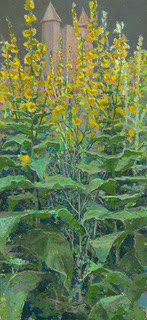 Francis Hamel, Sissinghurst Tower wit Verbascums, 2023