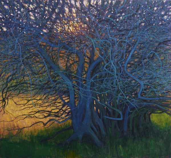 Andrew Gifford, Ancient Hawthorn hedge, Grosmont, North Yorkshire, 2021