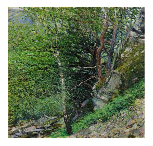 Andrew Gifford, 62. Oak on Rocks, High up on Borrowdale, 2024