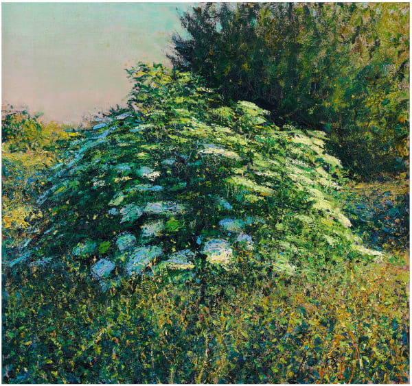 Andrew Gifford, Elder in Sheepcote Valley I, Sussex, 2022