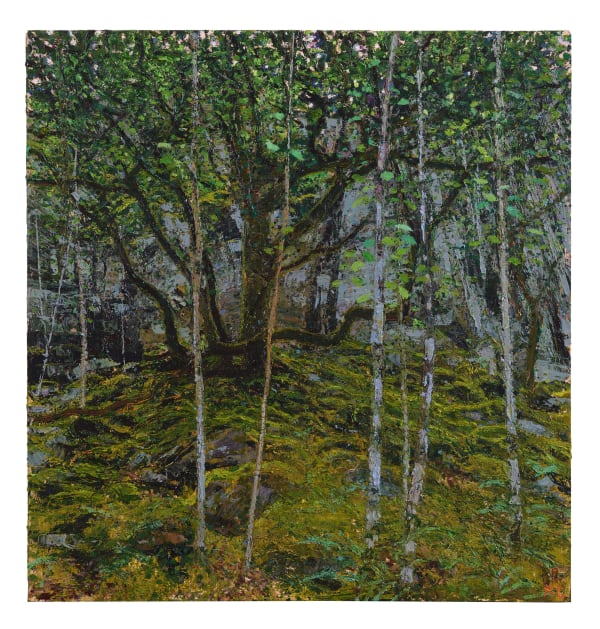 Andrew Gifford, 66. Oaks & Birch, Blaenau Ffestiniog, 2025