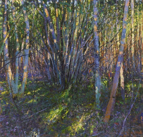 Andrew Gifford, Coppiced Sycamore, Late Afternoon, April 2020, 2020