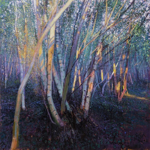 Andrew Gifford, 59. Coppiced Birch, Late Afternoon, April 2020, 2020