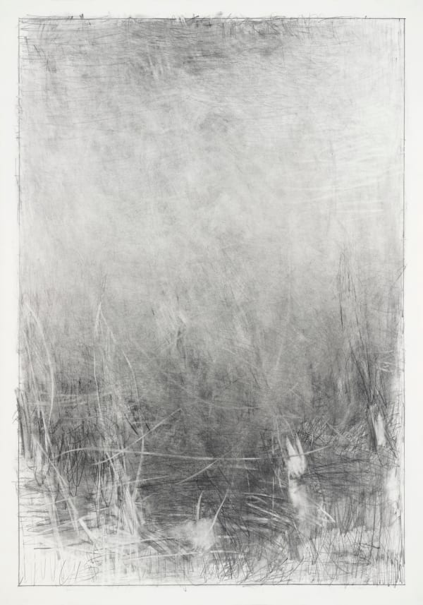 Mario Lobedan, Untitled XXX, 2015