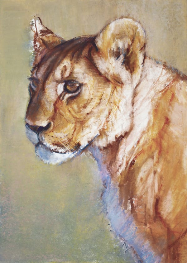 Mark Adlington, Mara Morning Profile